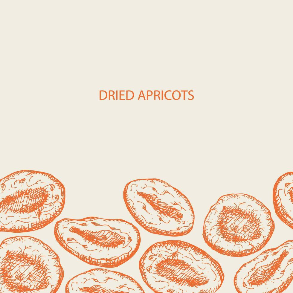 Dried apricots label template background. Hand drawn dry apricot, fresh apricots plant, vector illustration backdrop.Oriental sweets healthy food.For print, label, template, logo, card, design