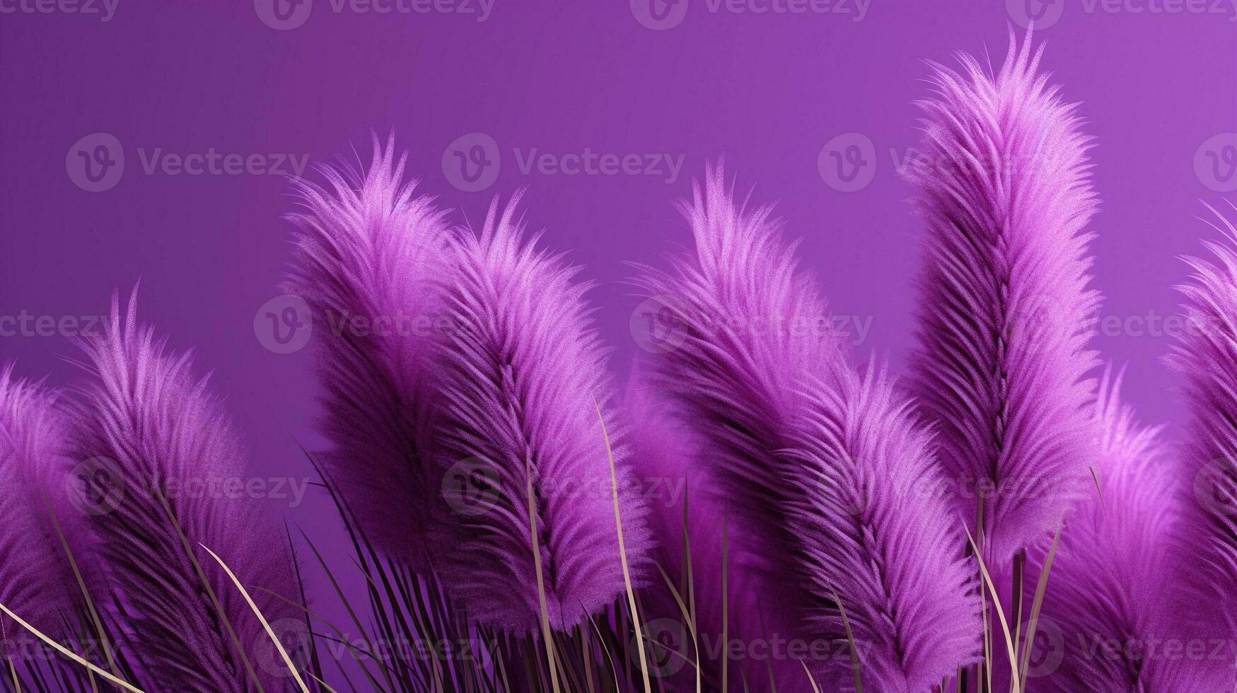 Generative AI, Pampa purple lavender color grass branch with sky. Abstract natural boho background of soft plants, Cortaderia selloana photo
