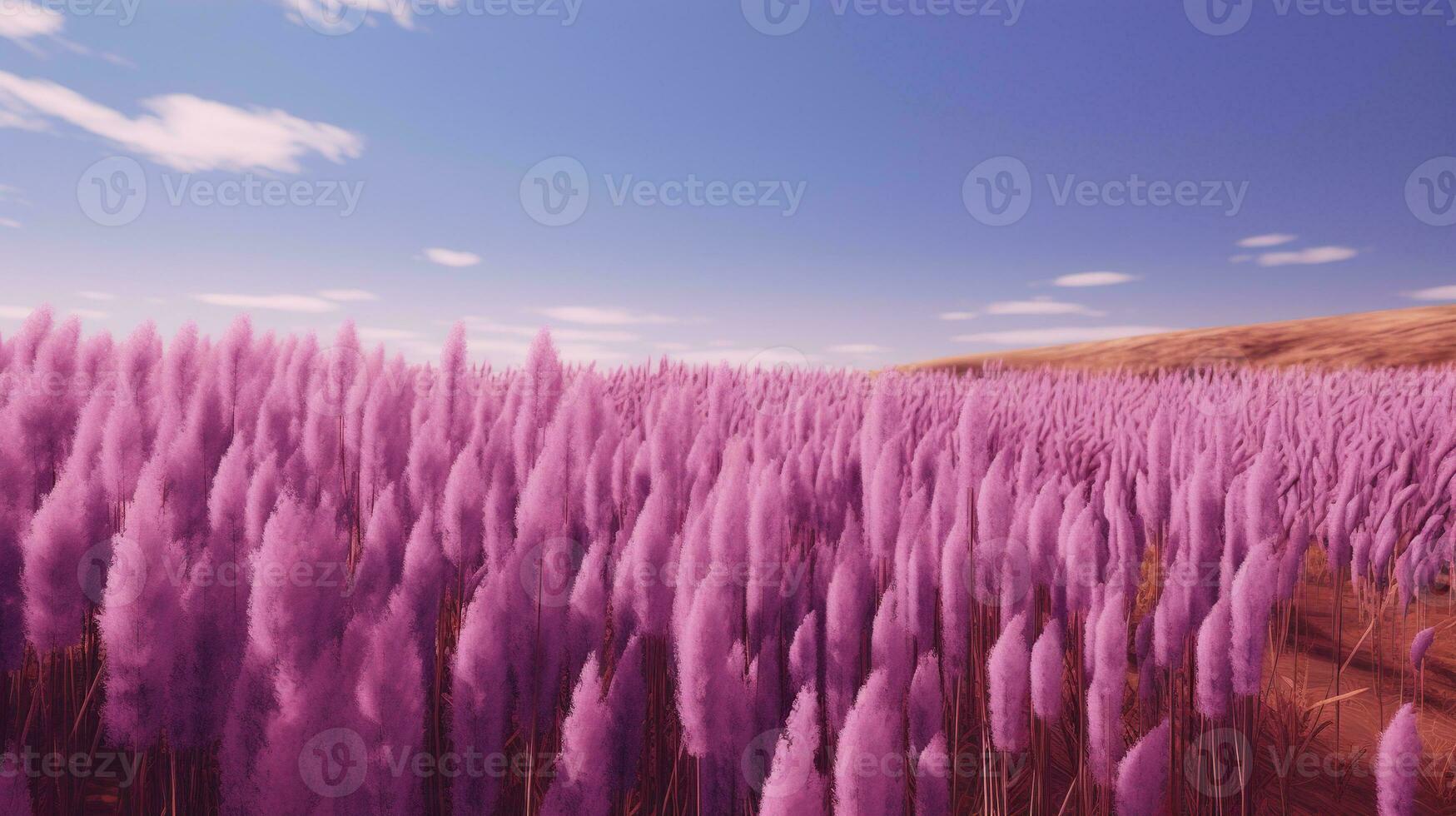 Generative AI, Pampa purple lavender color grass branch with sky. Abstract natural boho background of soft plants, Cortaderia selloana photo