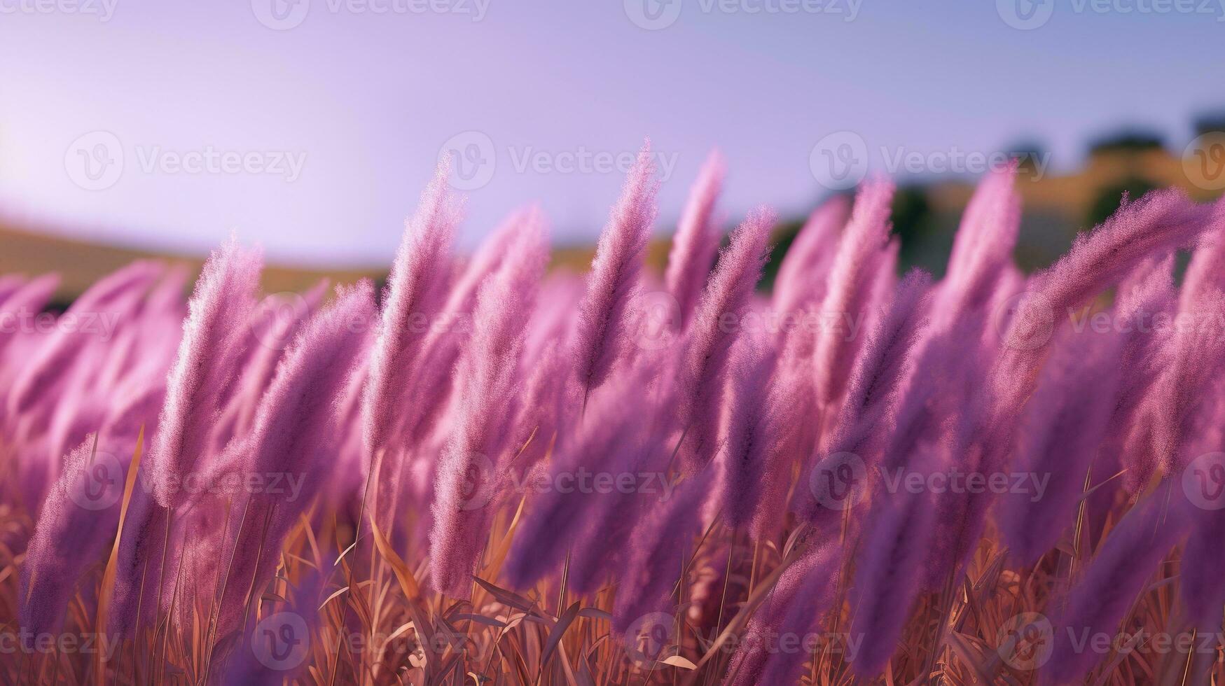 Generative AI, Pampa purple lavender color grass branch with sky. Abstract natural boho background of soft plants, Cortaderia selloana photo