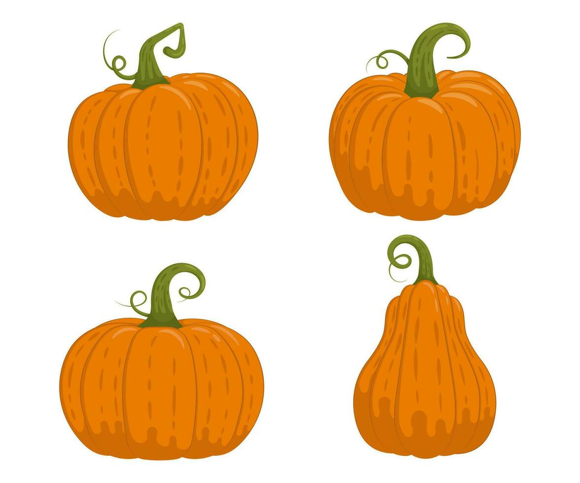 Set of cartoon pumpkin illustrations vector