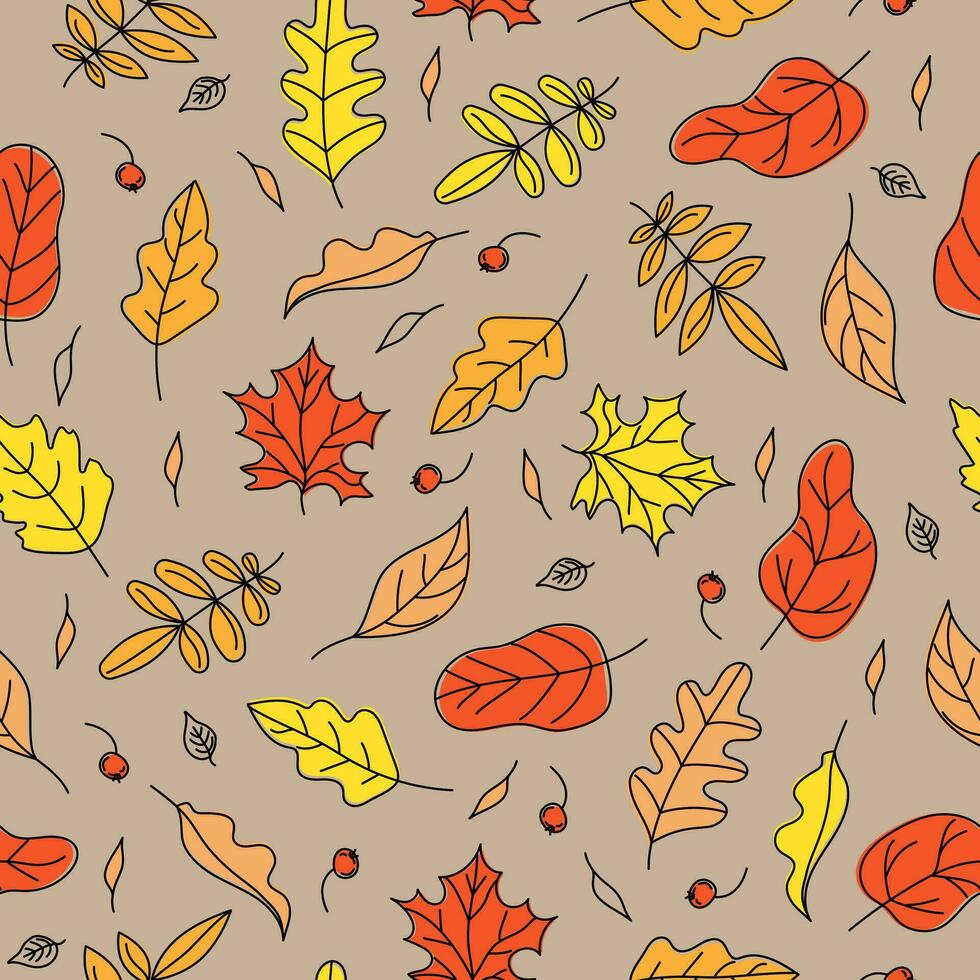 Autumn leaves.  Pattern Autumn, natural seamless background with leaves. Harvest Celebration. Leaffall. Doodle style drawings. Color vector illustration. White isolated background.