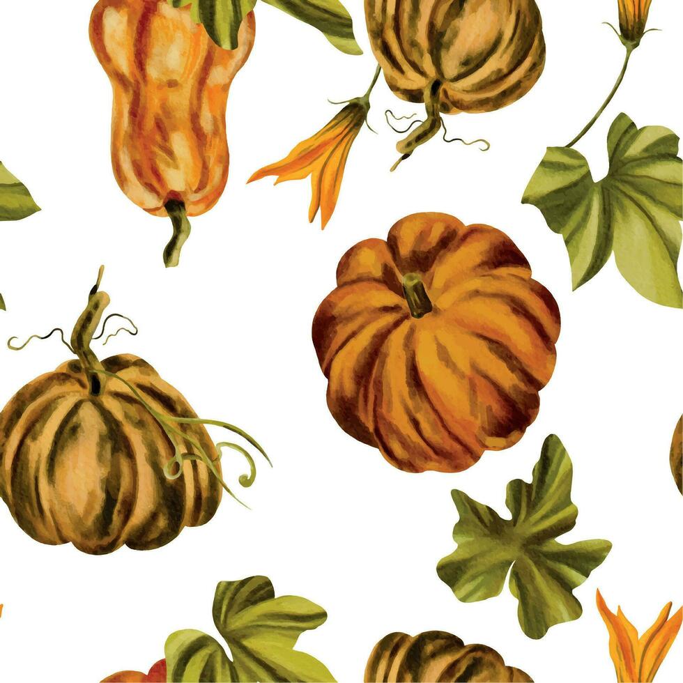 acuarela sin costura modelo con calabaza en blanco antecedentes. otoño antecedentes con calabaza. acuarela cuadro, mano dibujo vector