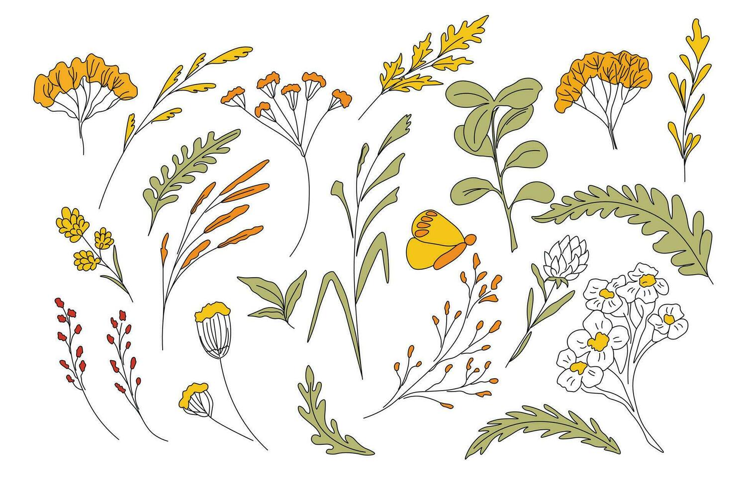 otoño hierbas. vector ilustración. septiembre estacional recopilación. un garabatear de leña menuda y un flor. aislado en un blanco antecedentes.