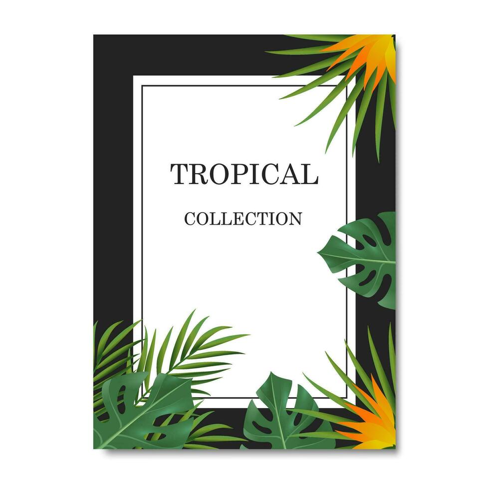 Vector banners with green tropical leaves, jungle. Exotic botanical suitable for posters, greeting cards, banners or,  invitations on a black background