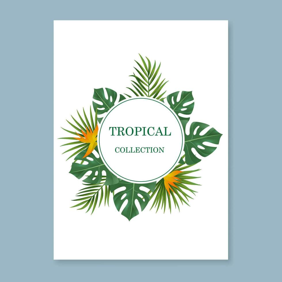 Vector banners with green tropical leaves. Exotic botanical suitable for posters, greeting cards, banners, or invitation