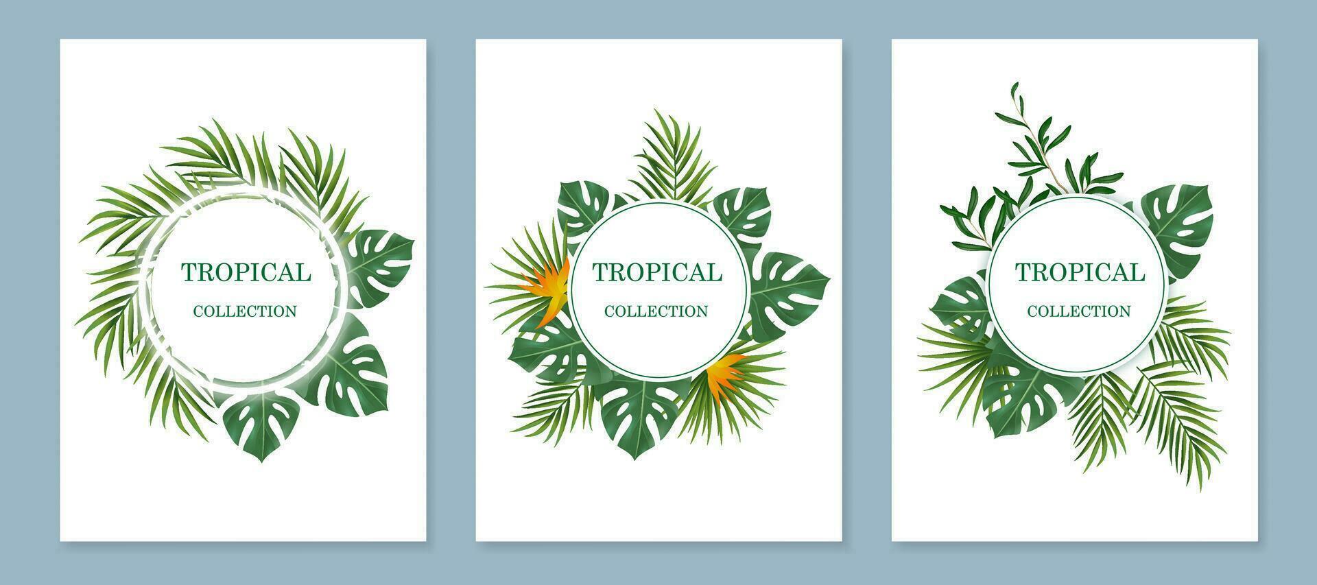 vector pancartas con verde tropical hojas. exótico botánico adecuado para carteles, saludo tarjetas, pancartas, o invitación