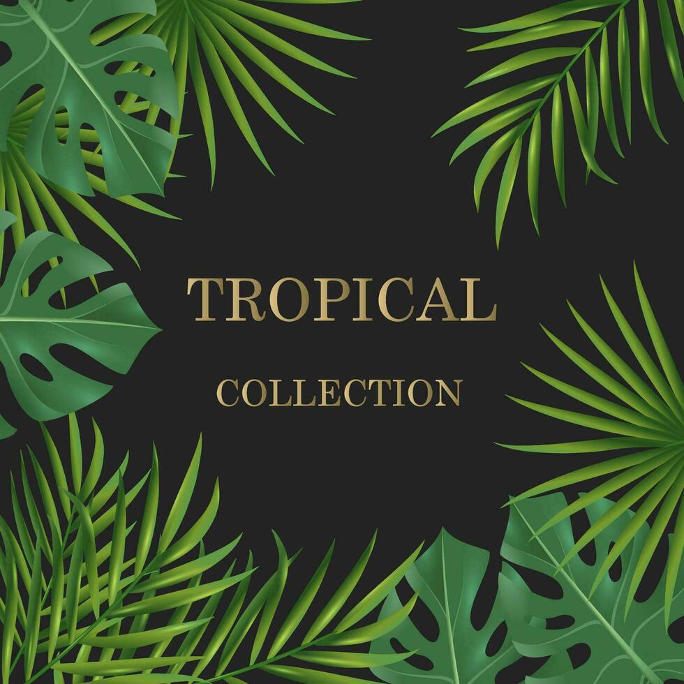 vector pancartas con verde tropical hojas, selva. exótico botánico adecuado para carteles, saludo tarjetas, pancartas o, invitaciones en un negro antecedentes