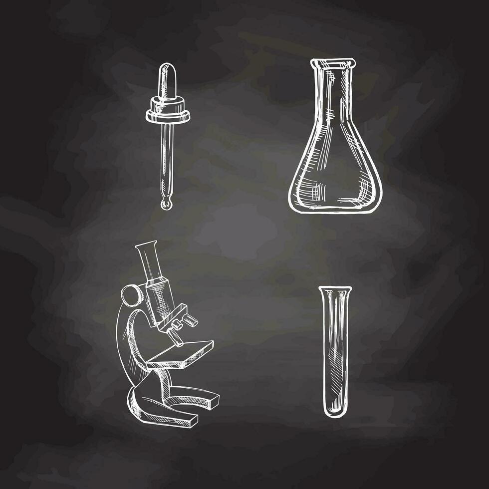 Back to School, hand drawn school and scientific sketch set. Doodle science collection on chalkboard background. Education Concept. Vintage sketch element. Vector illustration. Back to School.