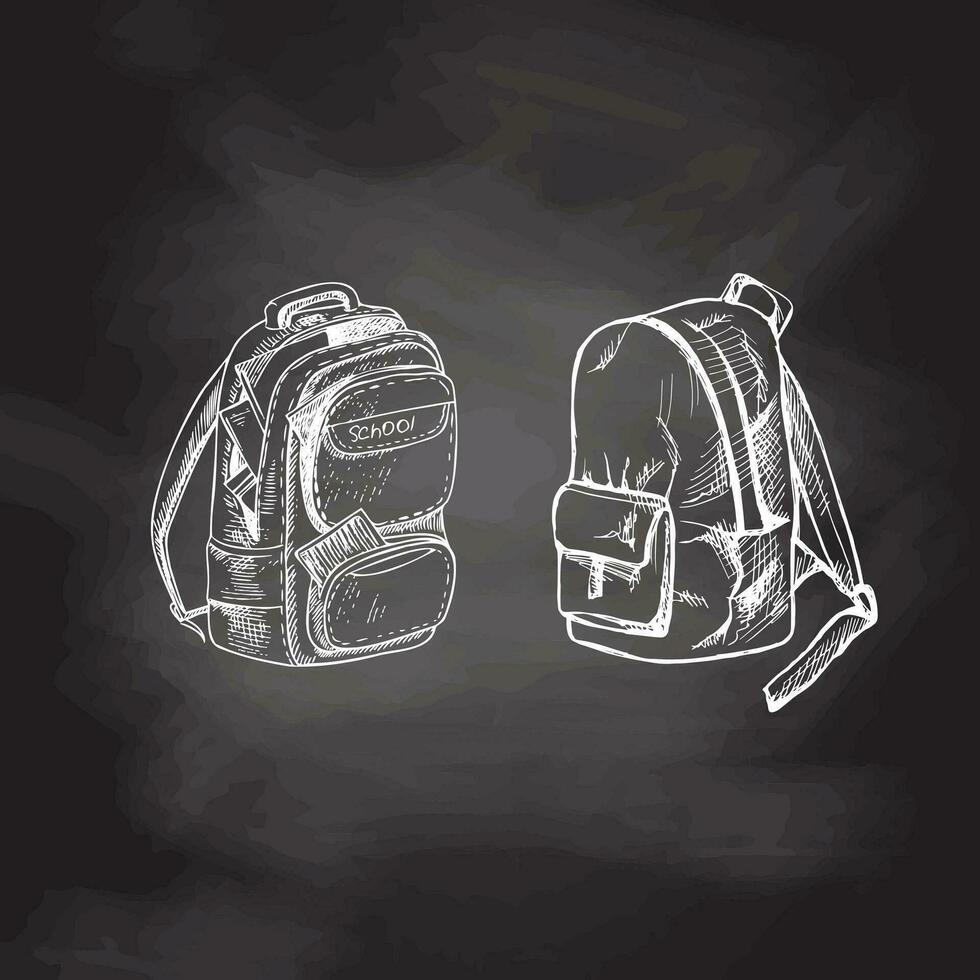 Vector hand-drawn school Illustration. Detailed retro style backpacks sketch on chalkboard background. Vintage sketch element. Back to School.