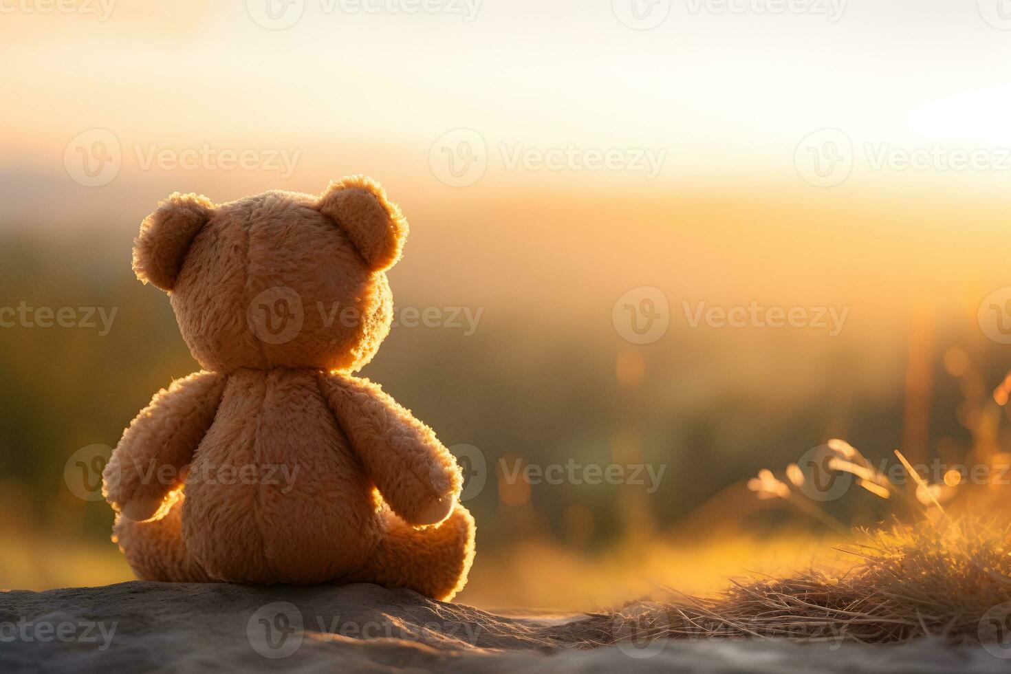 Back view of teddy bear toy sitting with background of mountain view at sunset. photo