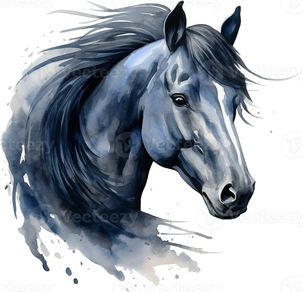 Black horse portrait isolated on transparent background. Watercolour illustration. png