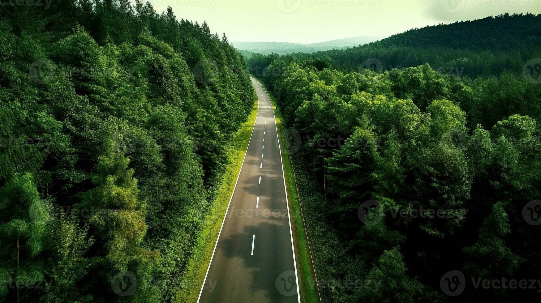 Generative AI, Aerial view of road between green forest, green landscape photo