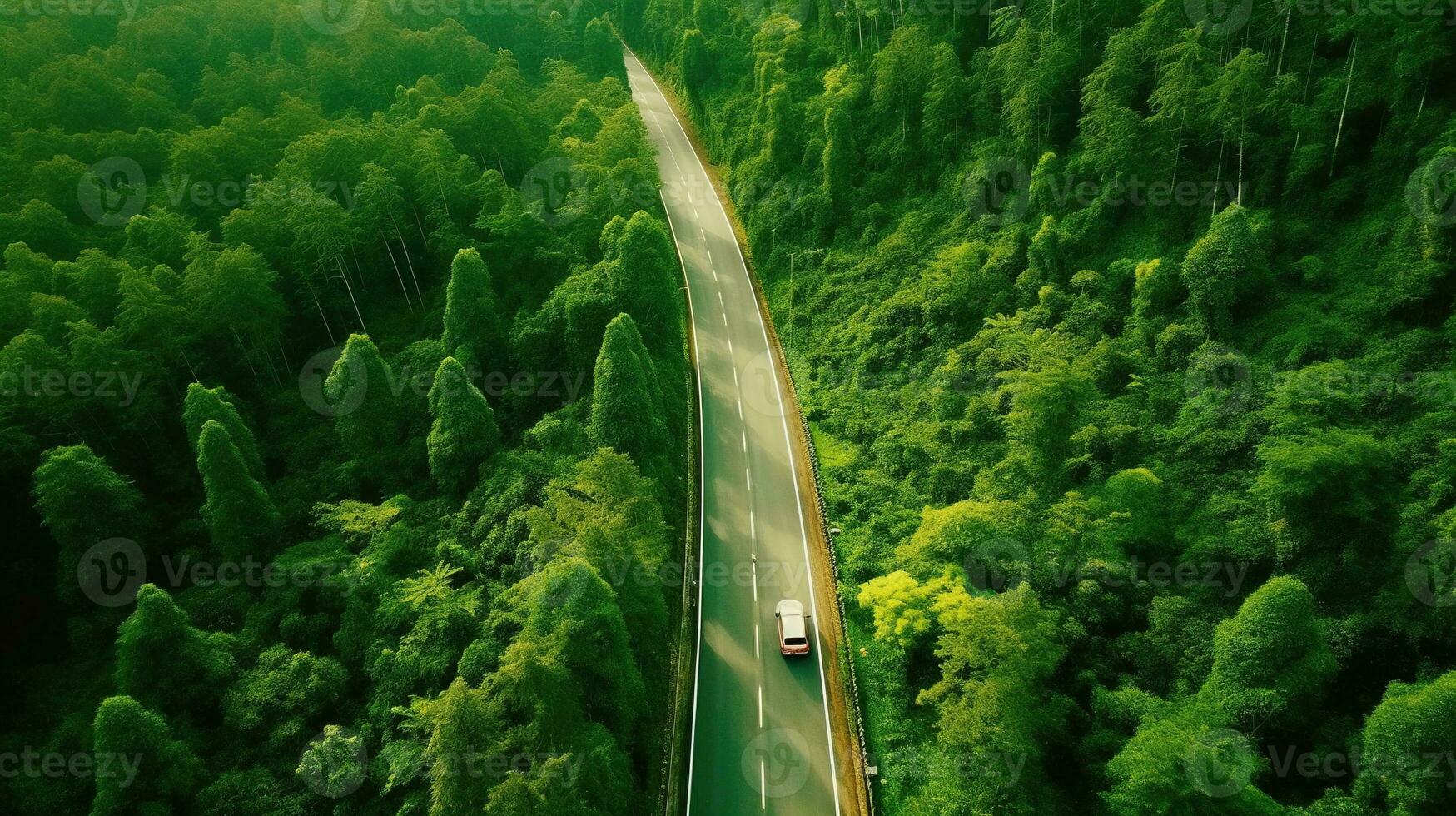 generativo ai, aéreo ver de la carretera Entre verde bosque, verde paisaje foto