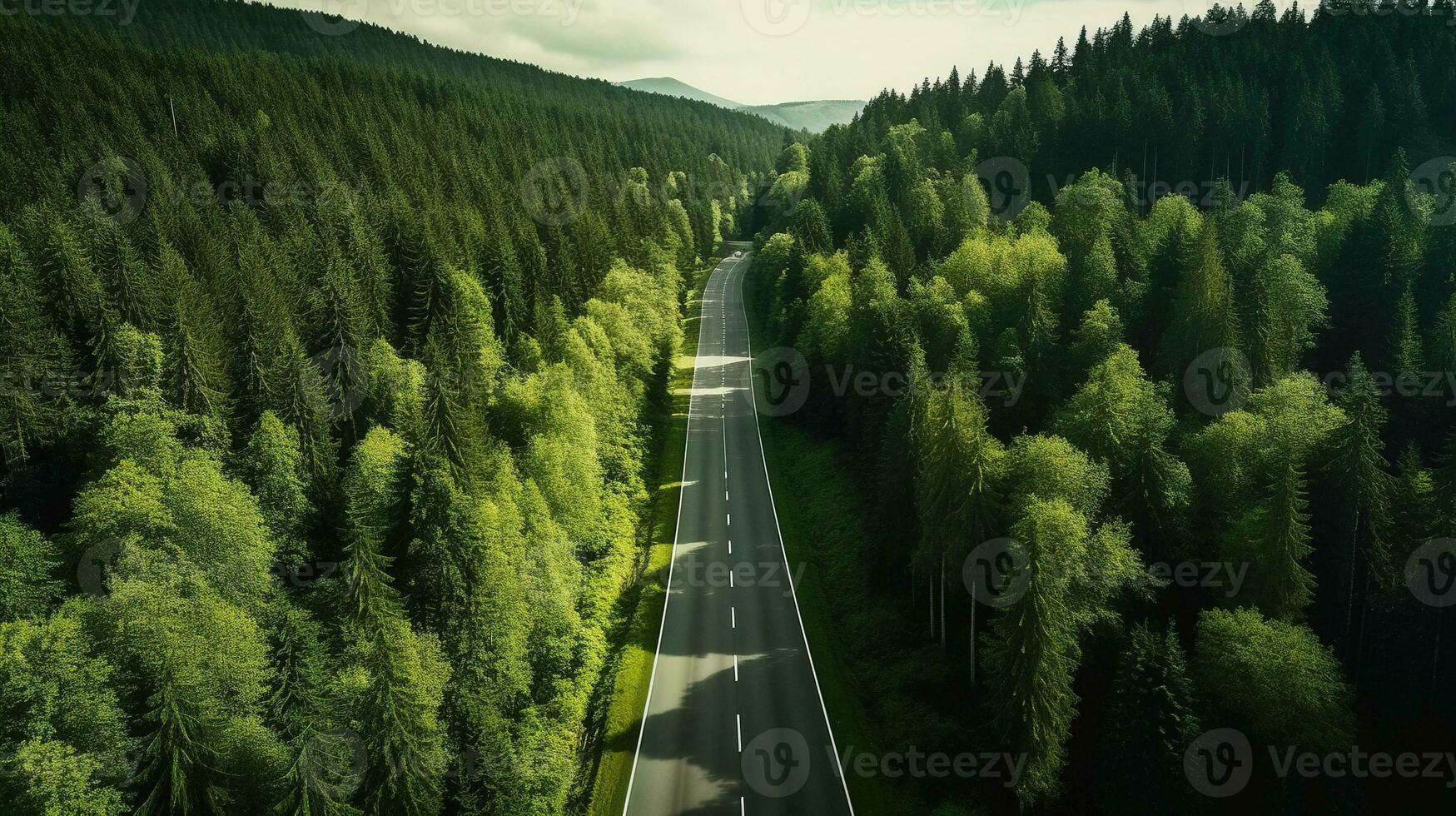 Generative AI, Aerial view of road between green forest, green landscape photo