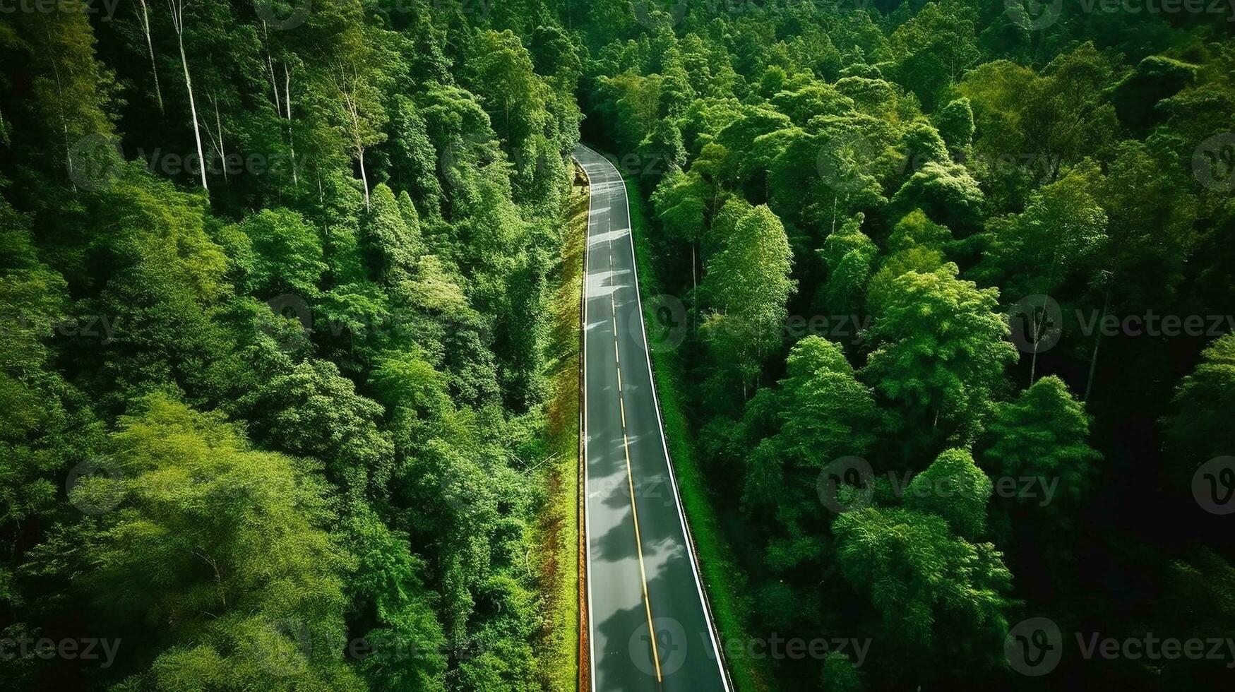 generativo ai, aéreo ver de la carretera Entre verde bosque, verde paisaje foto