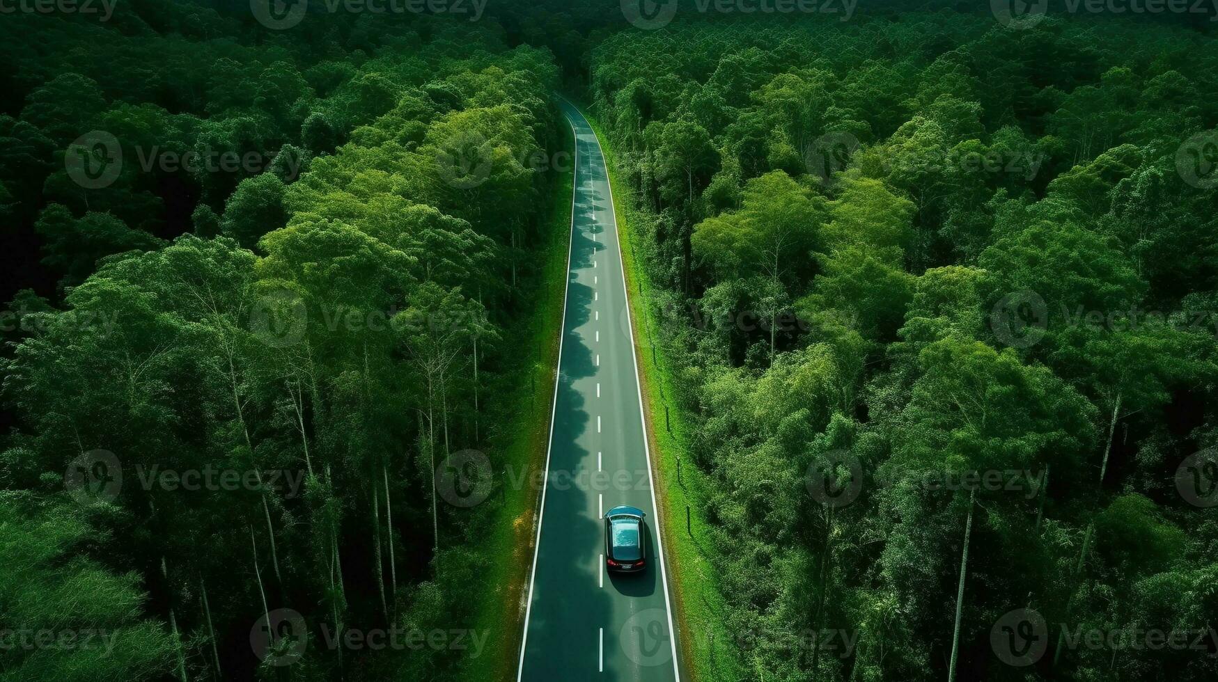 generativo ai, aéreo ver de la carretera Entre verde bosque, verde paisaje foto