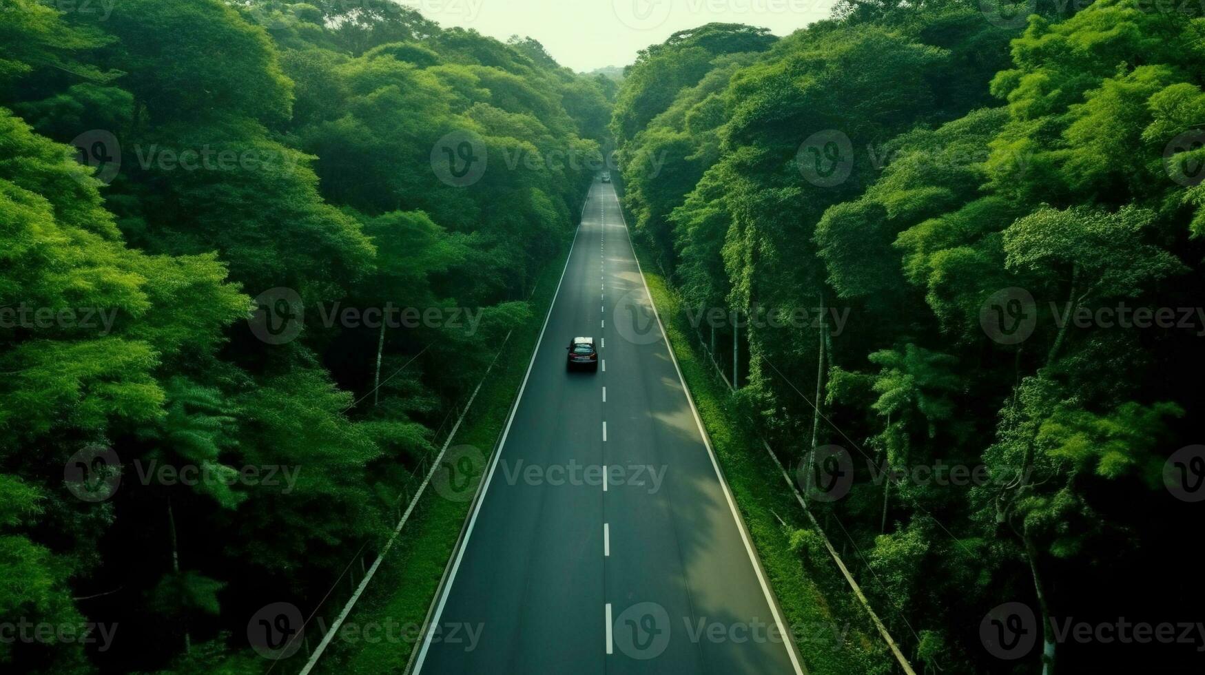 generativo ai, aéreo ver de la carretera Entre verde bosque, verde paisaje foto