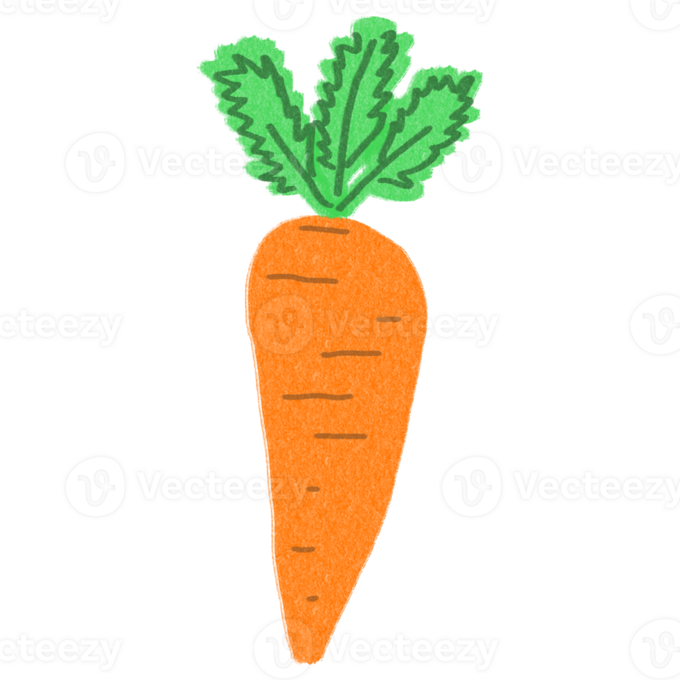 Carrot drawing for decor png