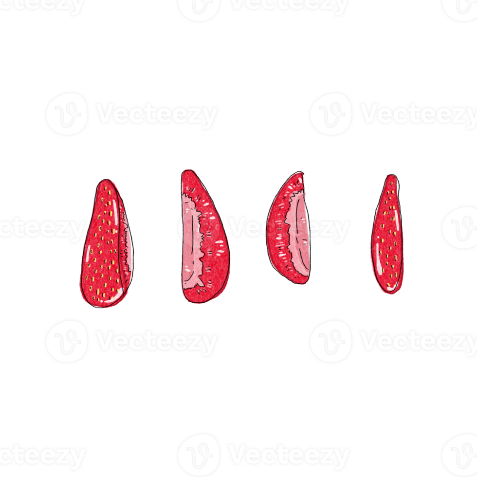 Strawberry drawing for decor png
