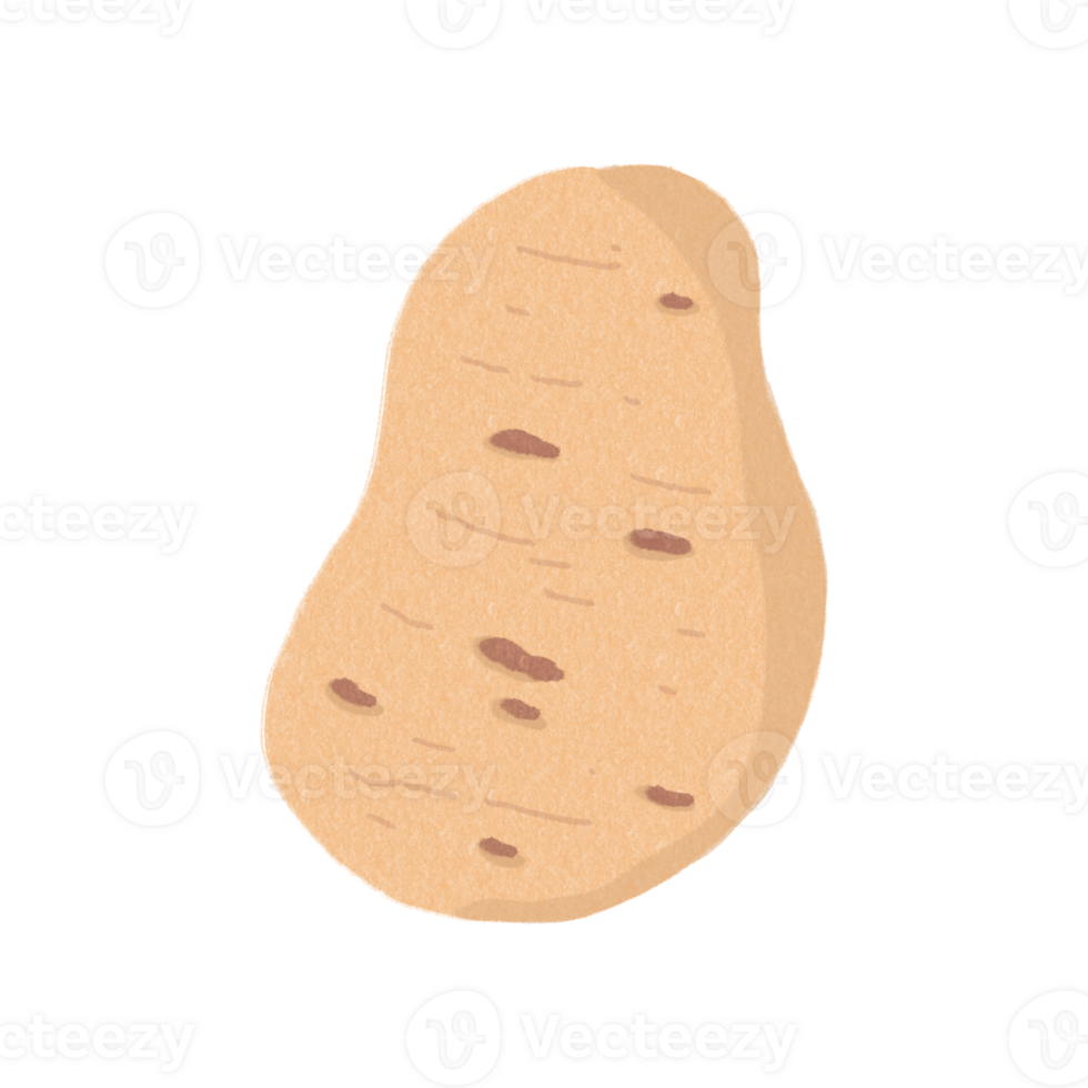 Potato drawing for decor png