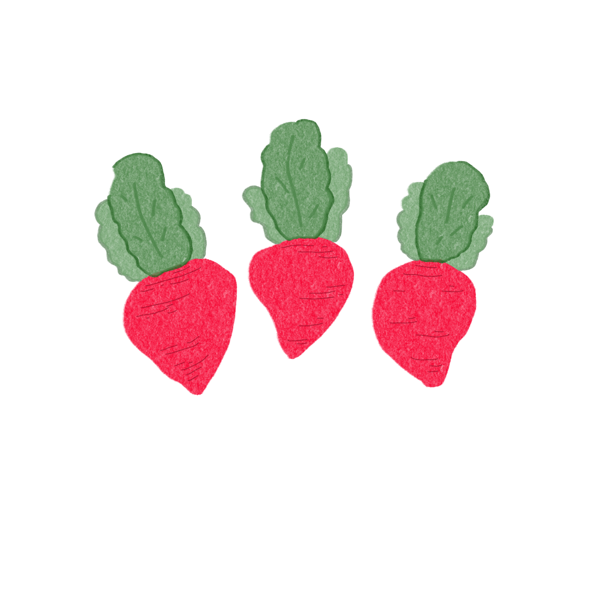 Red radishes drawing 27172922 PNG