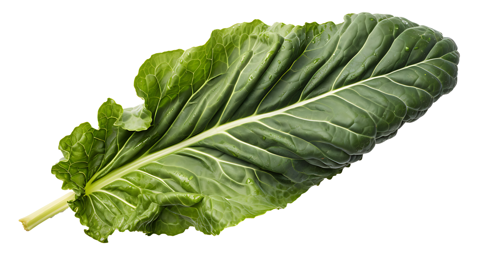 Fresh organic green collards leaf transparent png background. collards