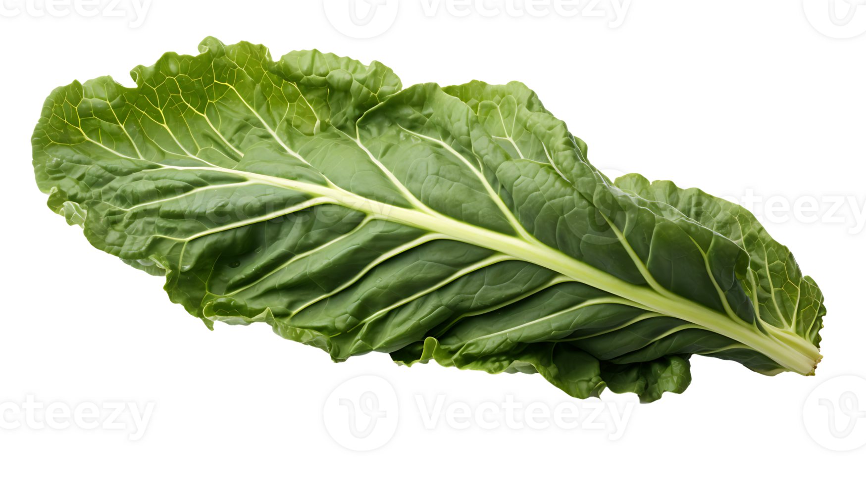 Fresh organic green collards leaf transparent png background. collards