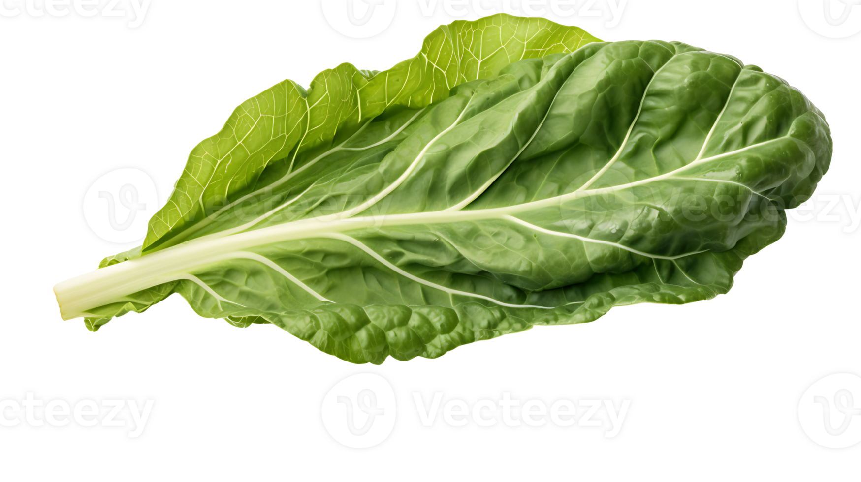 Fresh organic green collards leaf transparent png background. collards leave png AI Generated