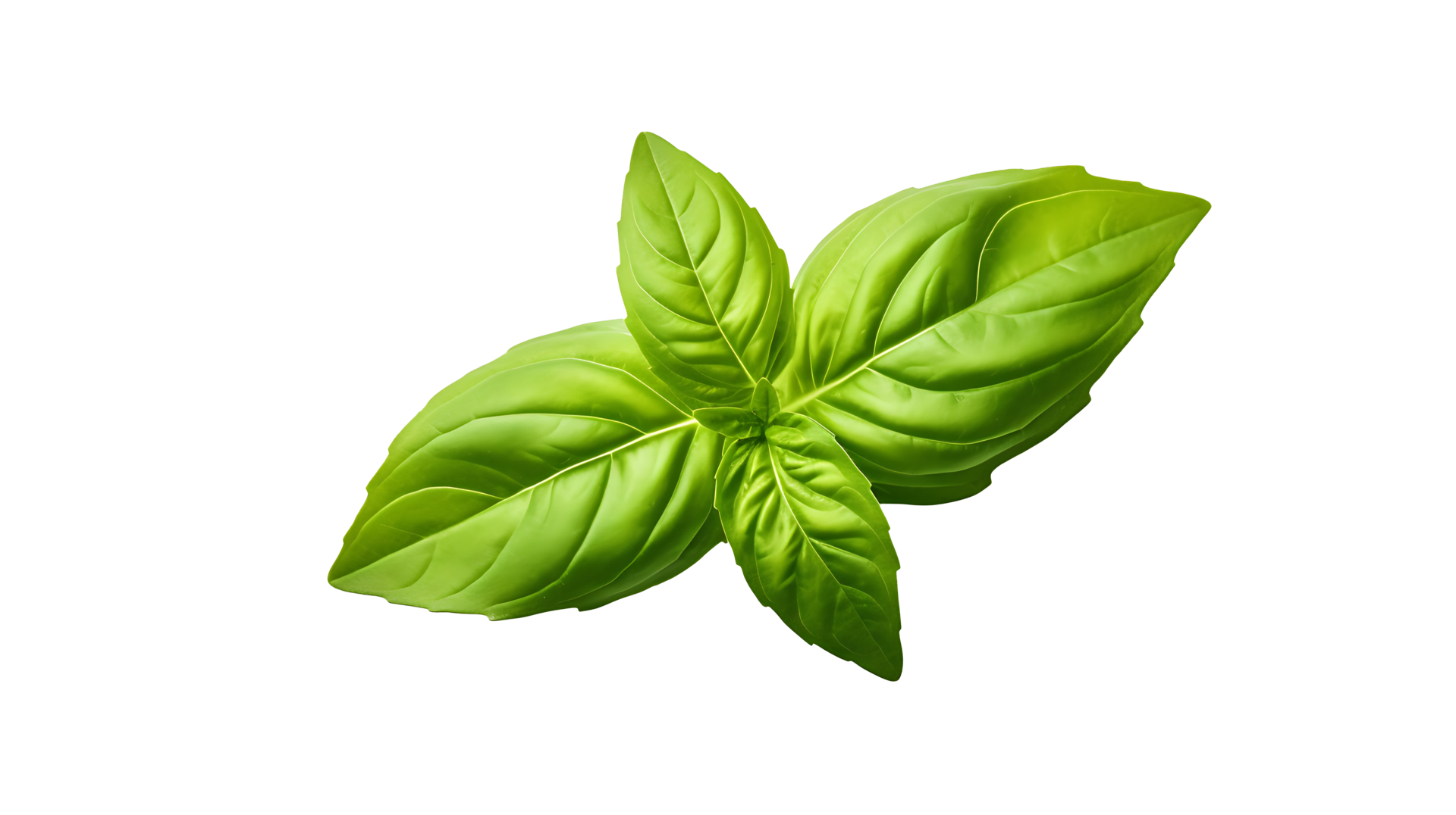 Fresh organic green basil leaf set transparent png background. AI