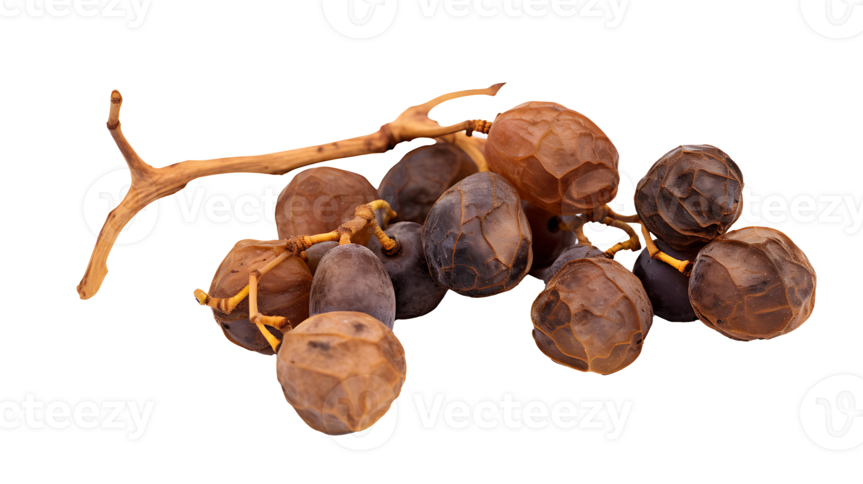 Fresh organic dry grape fruits set transparent png background AI Generated