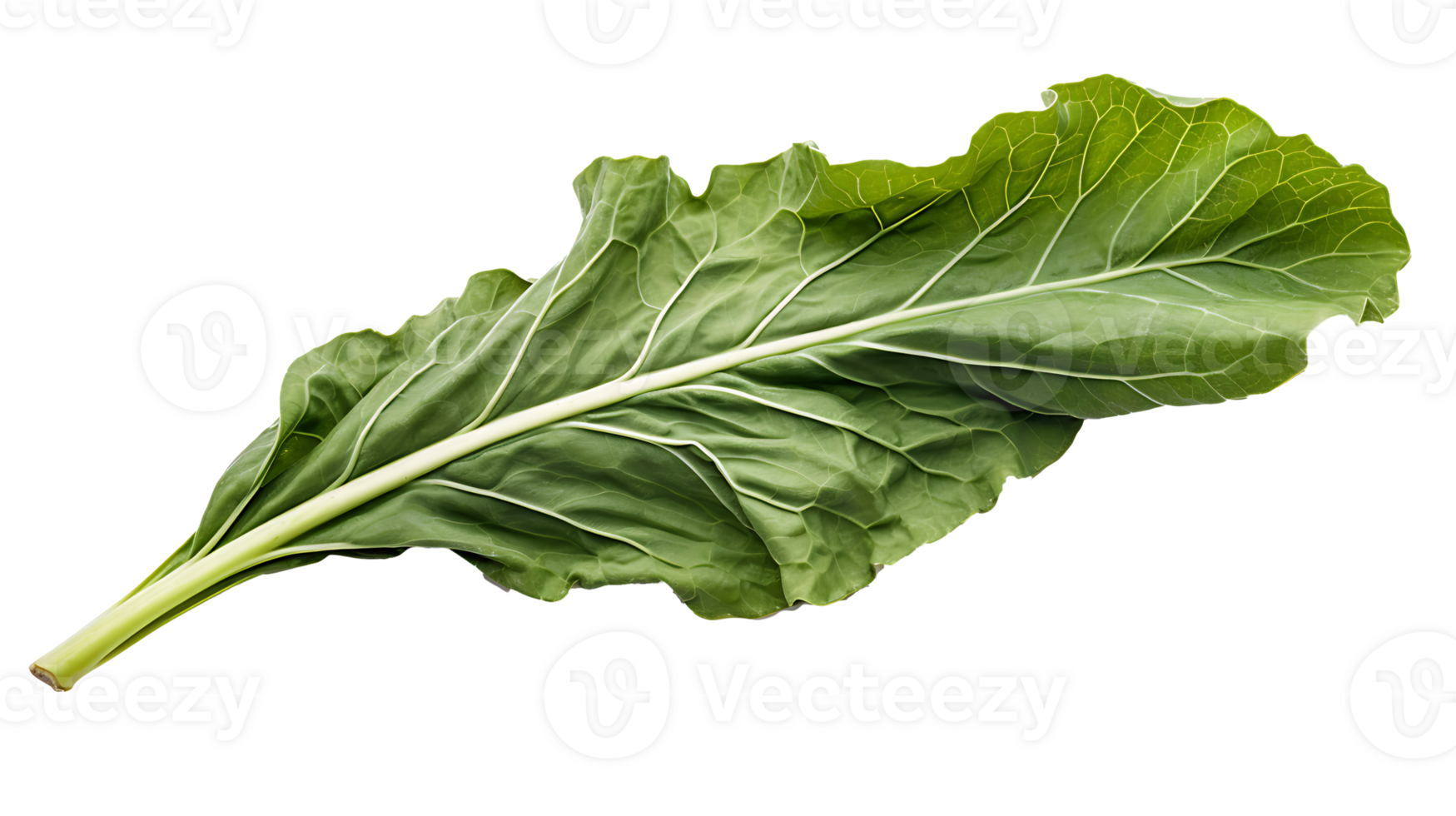 Fresh organic green collards leaf transparent png background. collards leave png AI Generated
