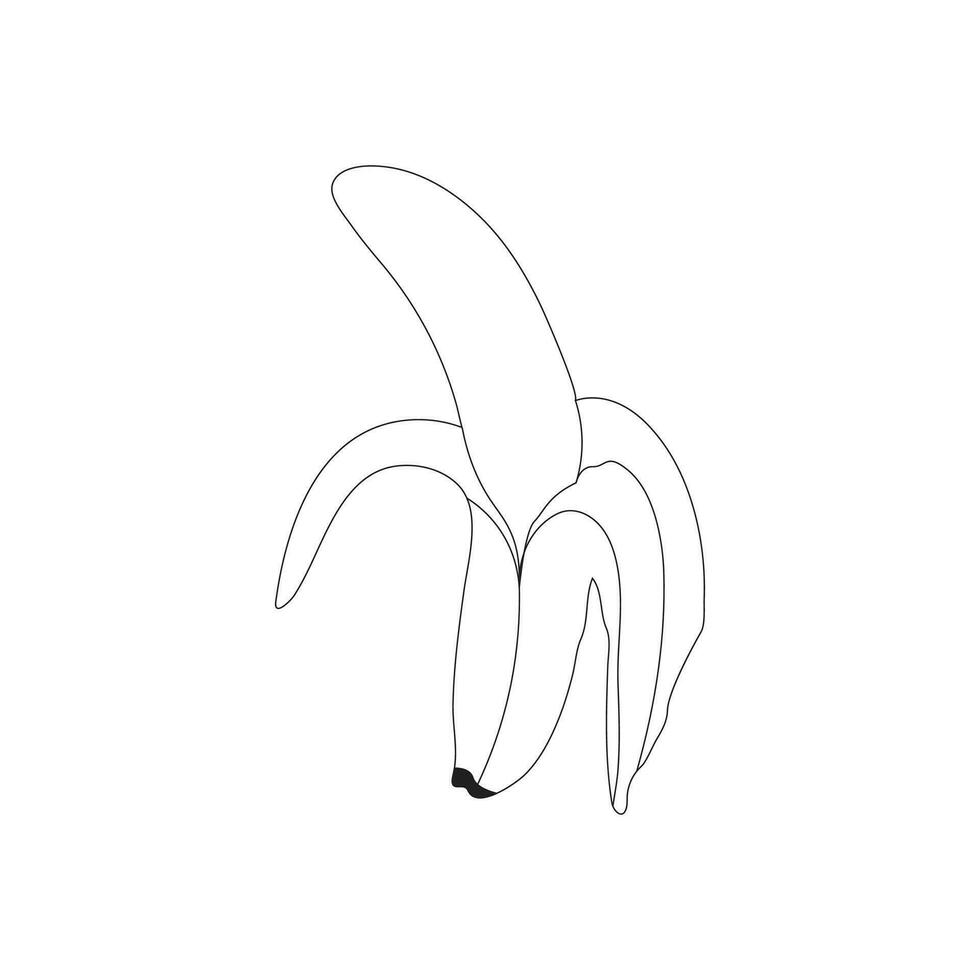 Banana Drawing isolated on white background sketch coloring page vector