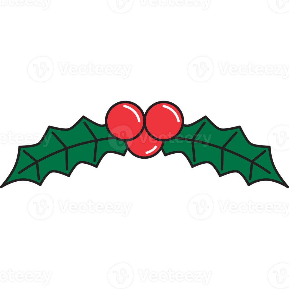christmas mistle toe flat line icon png