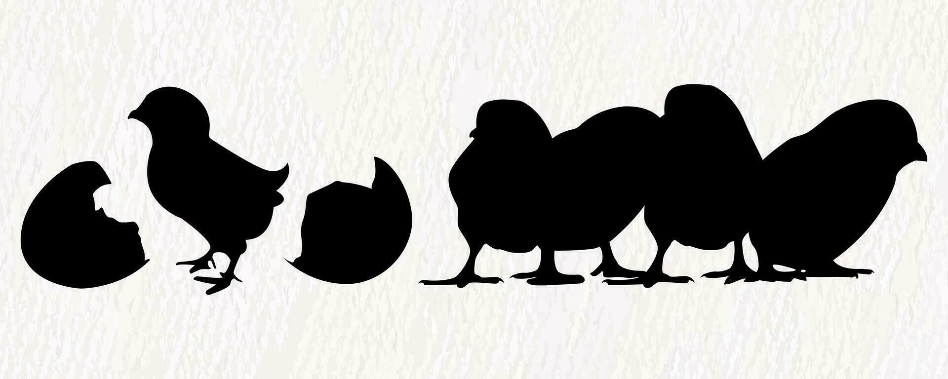 Vector silhouette set of detailed quality chickens - hens and baby chicks in farm