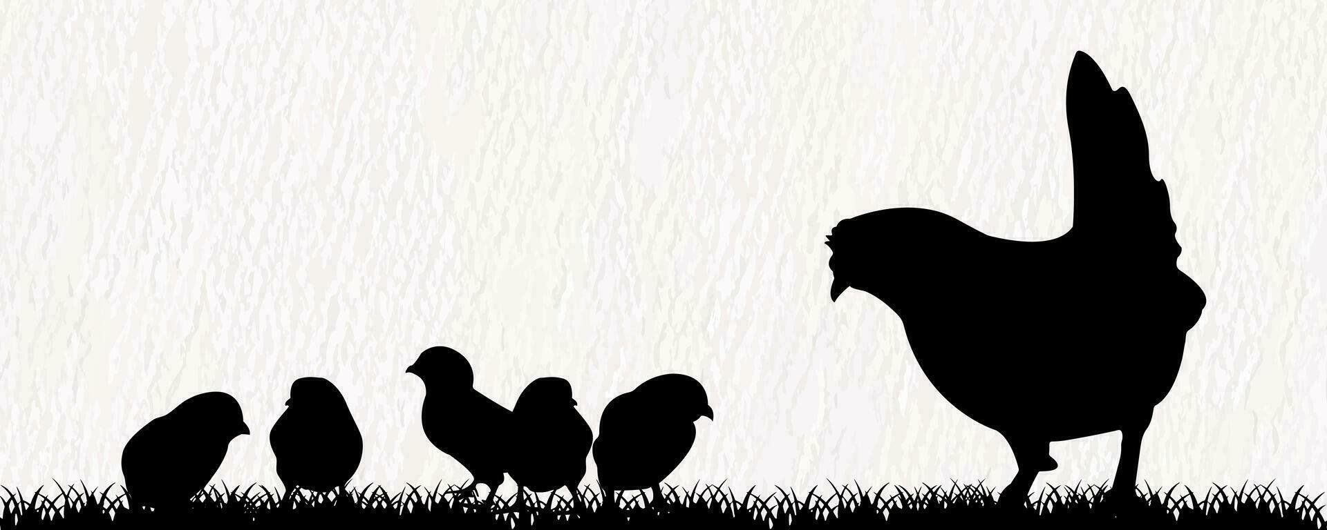 Vector silhouette set of detailed quality chickens - hens, poultry, roosters, cock and baby chicks in farm