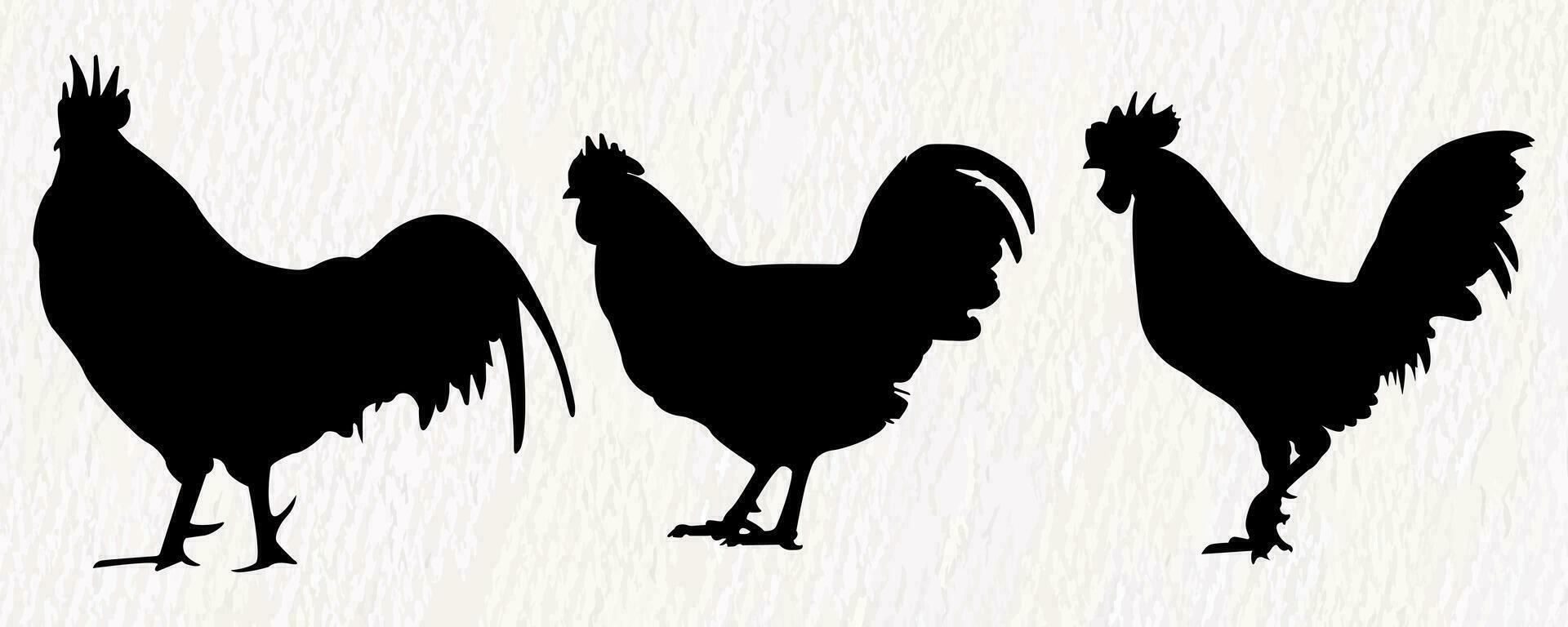 Vector silhouette set of detailed quality chickens -roosters, cock chicks in farm