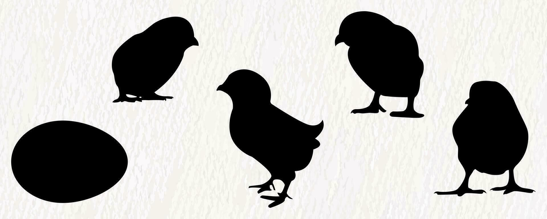 Vector silhouette set of detailed quality chickens - hens and baby chicks in farm