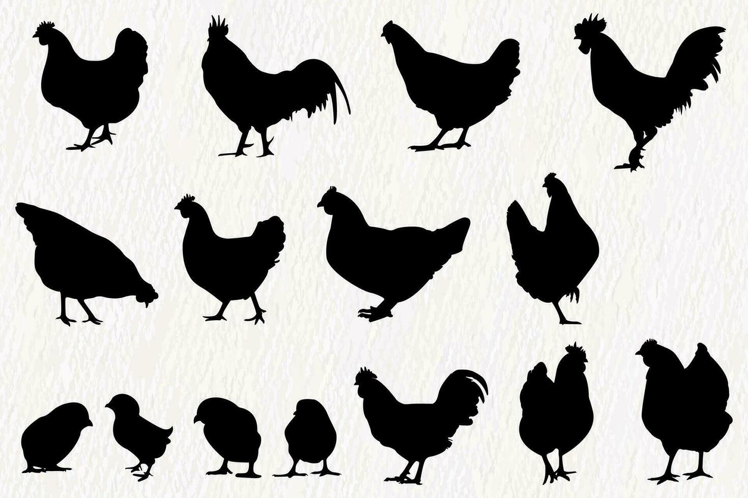 Vector silhouette set of detailed quality chickens - hens, poultry, roosters, cock and baby chicks in farm