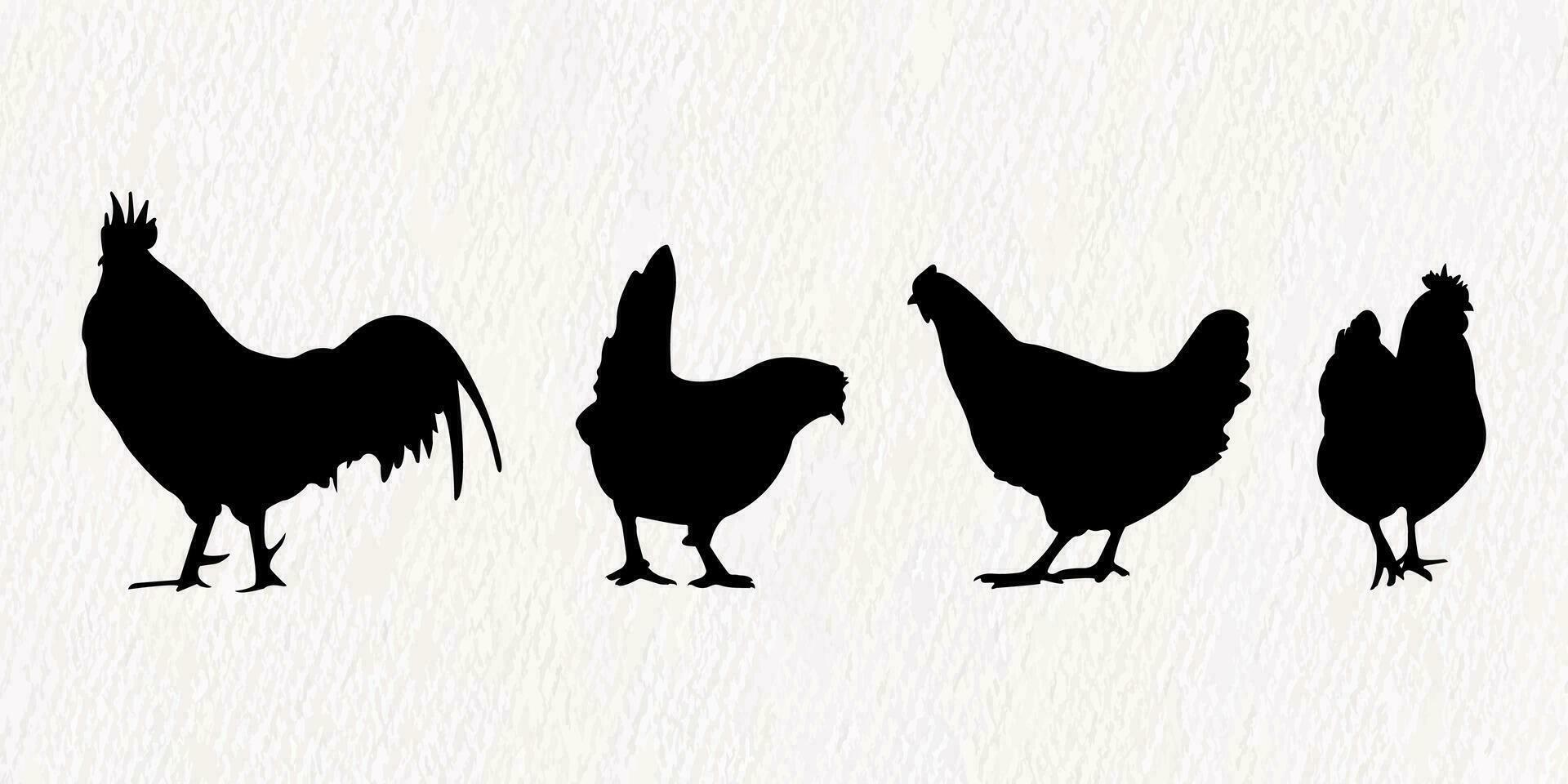 Vector silhouette set of detailed quality chickens - hens, poultry, roosters, cock and baby chicks in farm