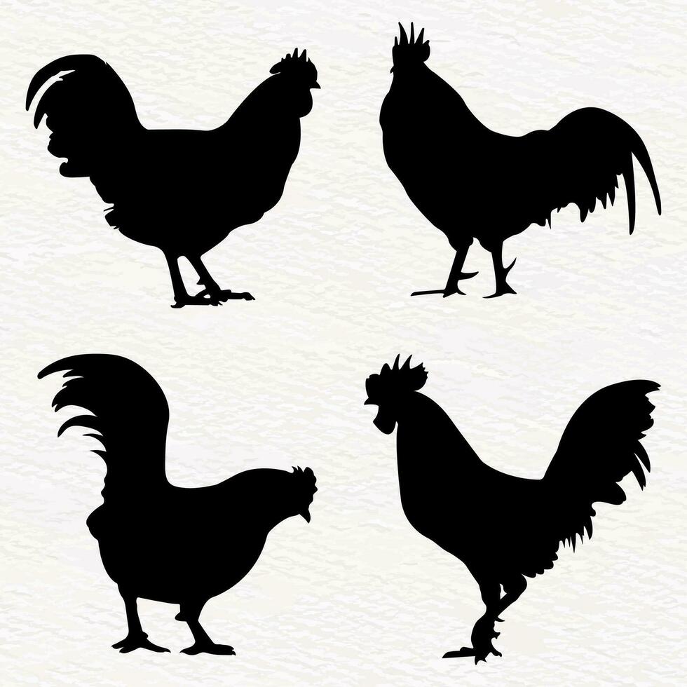 vector silueta conjunto de detallado calidad pollos -gallos, polla polluelos en granja
