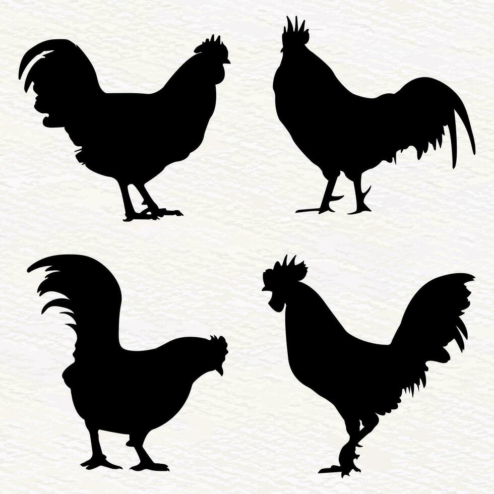 Vector silhouette set of detailed quality chickens -roosters, cock chicks in farm