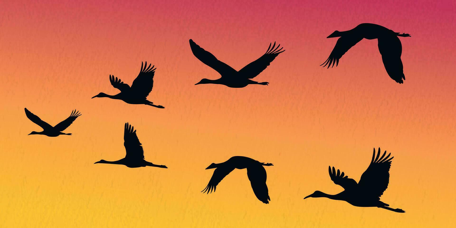 Flock of flying cranes, heron,egret, stork, flamingo  in a set of vector silhouettes