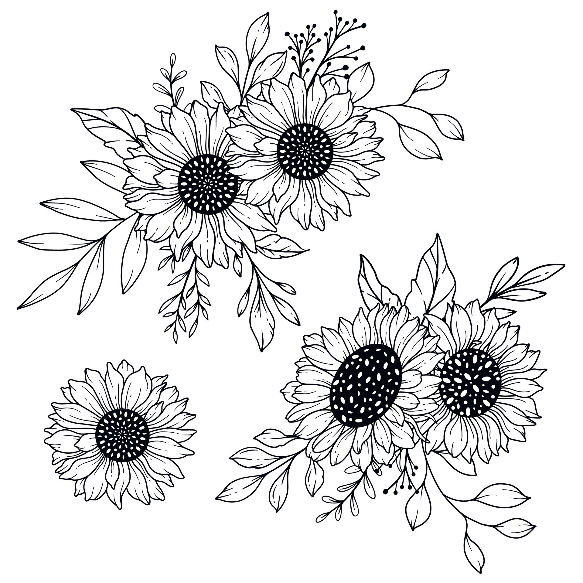 Sunflowers Line Art, Fine Line Sunflower Bouquets Hand Drawn