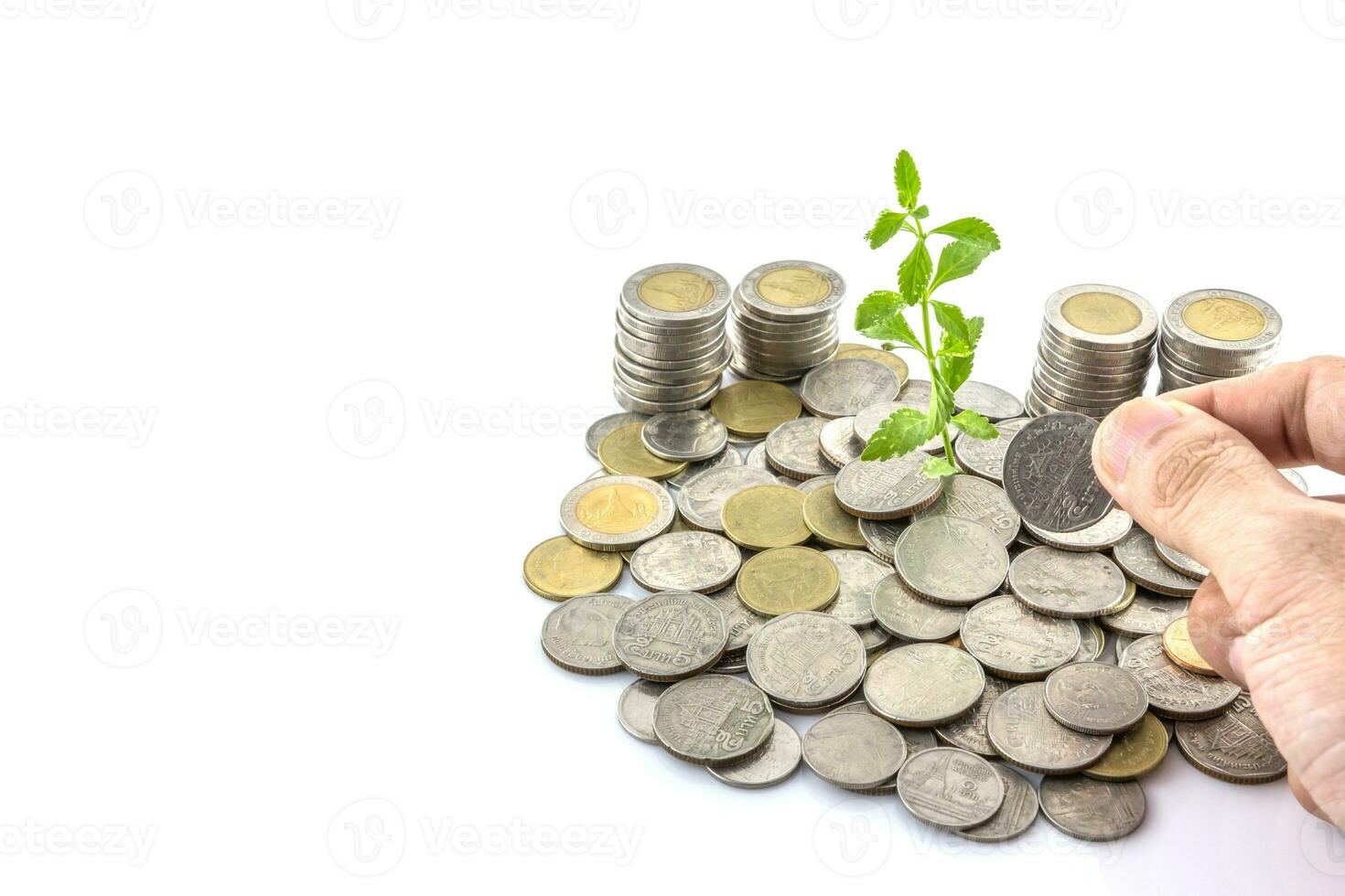 Hand put coins to stack of coins with  trees growing on coins photo