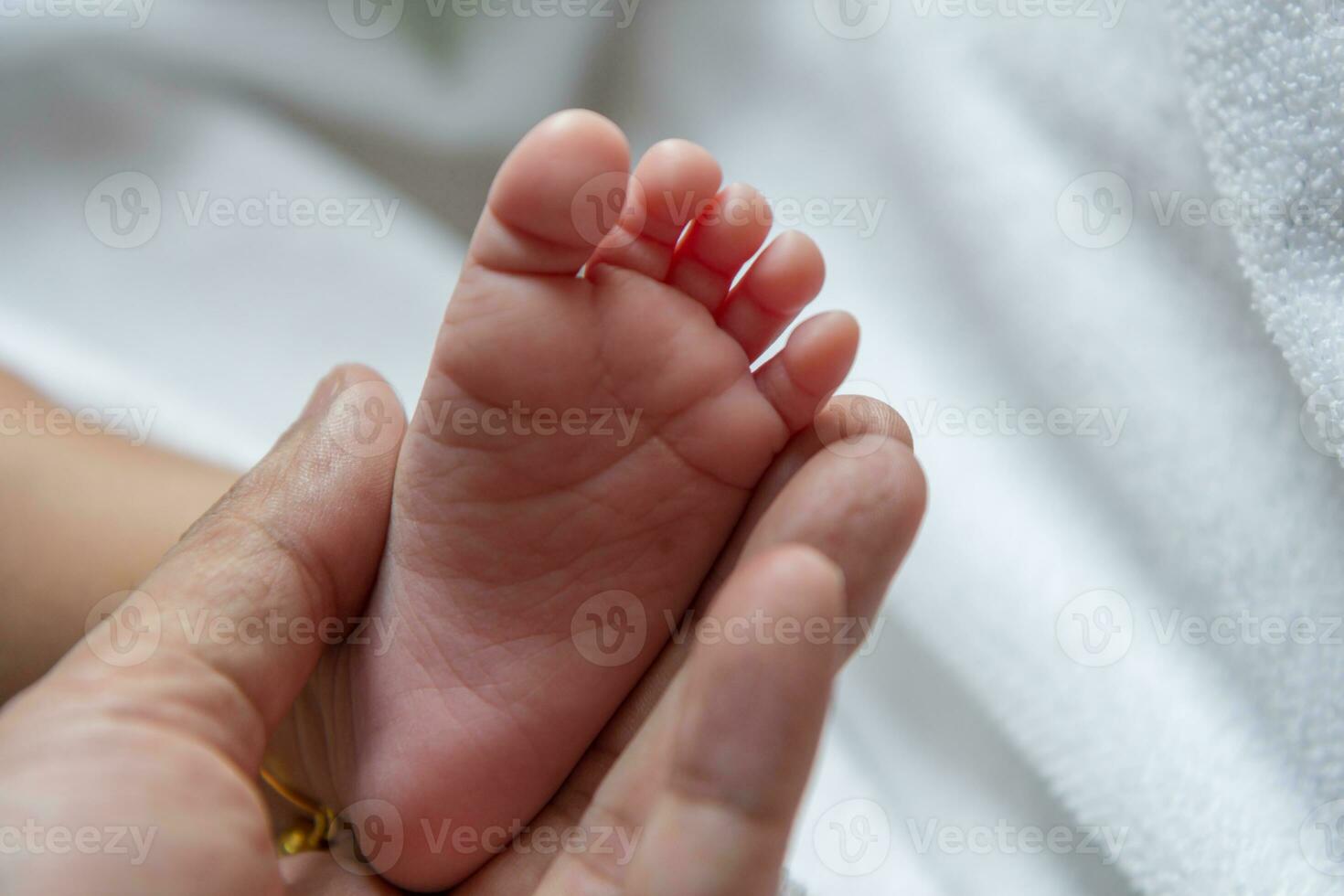 Newborn baby's feet photo