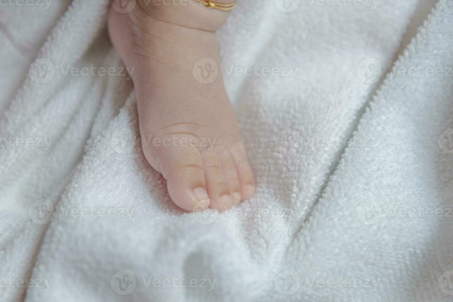 Newborn baby's feet photo