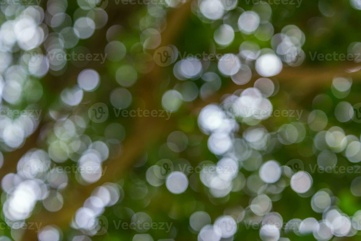 difuminar vistoso naturaleza bokeh antecedentes foto