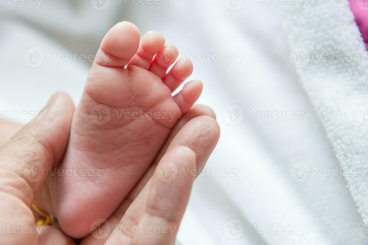 Newborn baby's feet photo