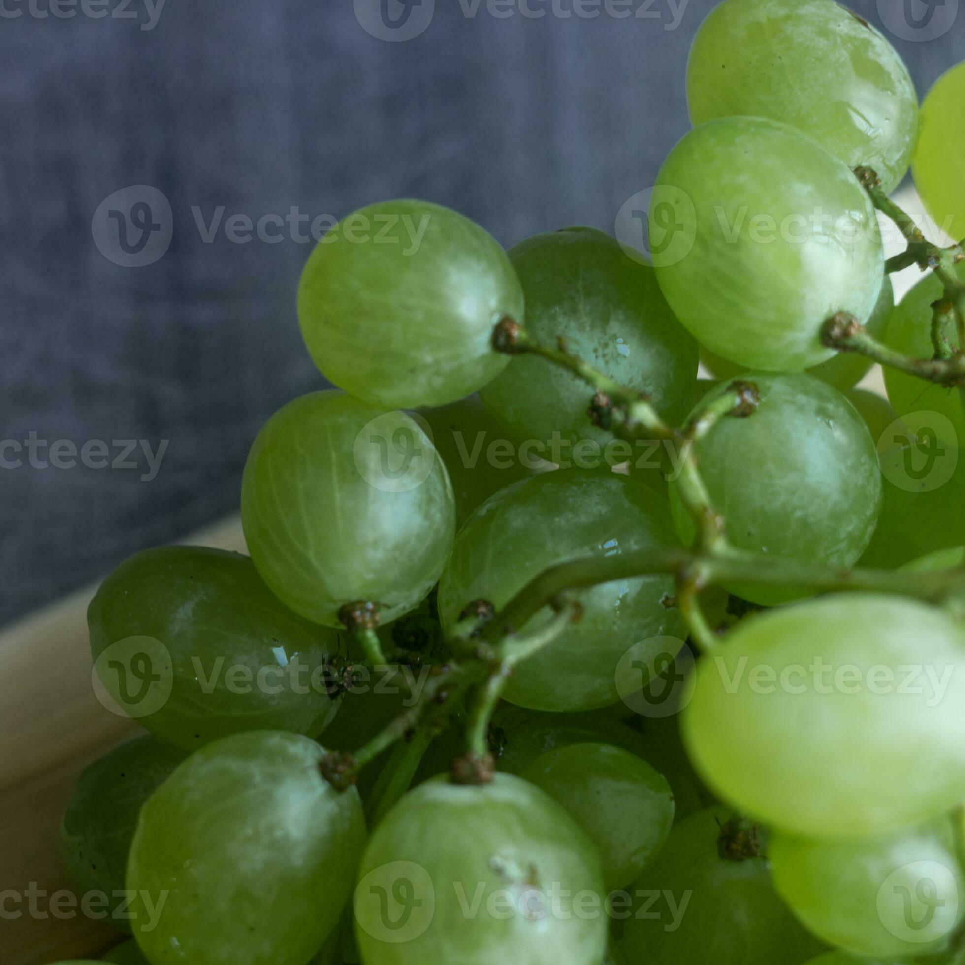 Bunches of green ripe grapes from a near angle. Still Life high